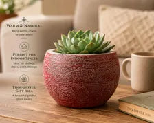 Southwest Ceramic Planter Pot, Textured Indoor Outdoor Succulent Planter