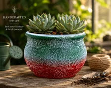 Southwest Ceramic Planter Pot, Textured Indoor Outdoor Succulent Planter