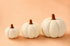 Plush Pumpkin Set Fall Decor Autumn Cushion Thanksgiving Home Accent